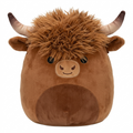 Upcoming Highland Cow